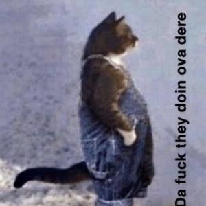 Meet your Posher, Cole